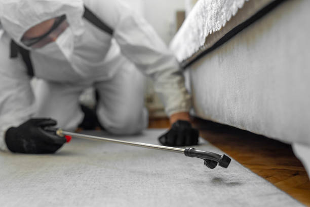 Professional Bed Bug Control technician working in Wakarusa, IN